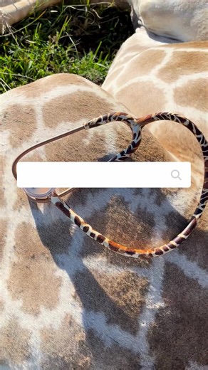 Personalized perfection, engraved just for you! Shop MDF Instruments