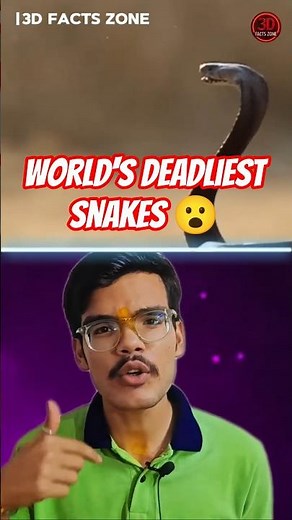 The World's Deadliest Snakes