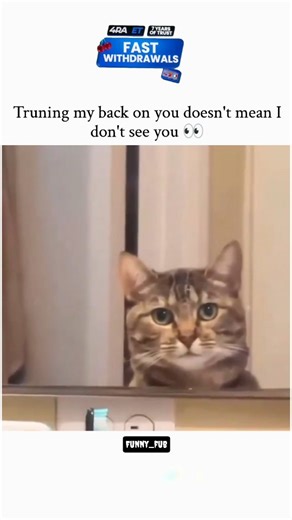 funny_fub on Instagram: "발매된 스페인 세비야 출신 듀오 Los del Río의 곡으로, 스페인에서 먼저 인기를 얻었지만, 이후 라틴아메리카와 미국까지 퍼져나가며 전 세계적인 메가 히트를 기록했습니다. 이 곡이 폭발적으로 퍼진 계기는 바로 1996 애틀랜타 올림픽. 당시 전 세계로 중계된 미국 여자 국가대표 체조팀의 퍼포먼스가 ‘마카레나’의 신나는 리듬과 함께 어우러지면서, 곡의 인기가 폭발적으로 확산되었습니다. 그 결과, 1996년 빌보드 핫 100 차트에서 무려 14주 연속 1위를 차지하며 역사적인 기록을 남겼고 연말 차트 1위를 비롯해 빌보드 올타임 차트 8위에도 오르는 대기록을 세웠습니다. 특히, 영어가 아닌 외국어 노래로 미국 시장에서 이 정도의 성공을 거둔 사례는 지금도 손에 꼽힙니다. 또 다른 성공 요인은 중독적인 춤. 단순하면서도 허리 움직임이 돋보이는 이 안무는 당시 남녀노소에게 큰 인기를 얻었고, 전 세계 사람들이 한 번쯤 따라 해보게 만들었죠.