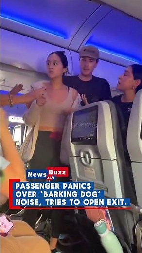 JetBlue Passenger Tries to Open Plane Door After Hearing “Barking Dog” Noise | Explained