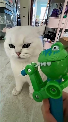 Top 5 Funniest Animal Fails You’ll Ever See 🤣 Viral Pet Moments #shorts