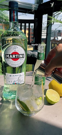 Refreshing Martini Bianco & Ginger Ale Drink Recipe