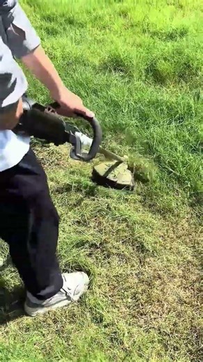 Cutting green grass using a cordless string trimmer tool in a bright sunny backyard garden