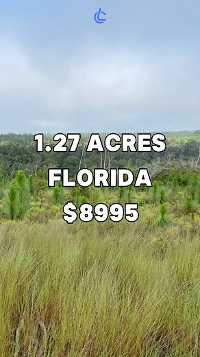 1.3M views · 9.3K reactions | 1.27 Acres for Sale in River Ranch, Florida for $8,995. Taxes are under $3 a month#land #property #investing #cheap #forsale #sale #vacantland #landcentury #USA #fyp #viral #realestate #realestateagent #realtor #realtors #realestateagents #flip #flips #flipping #properties #propertyforsale | Land Century | Facebook