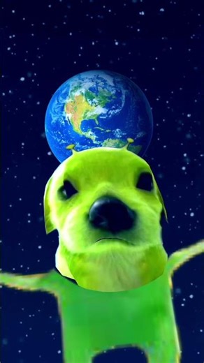 alien dog🐶👾 #memes