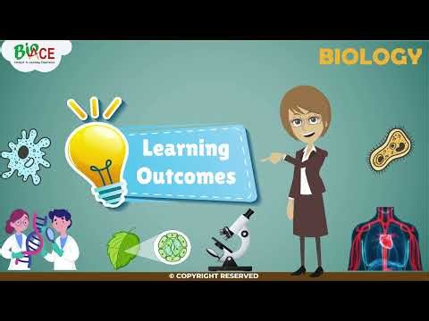 Cell: Structure and Functions
