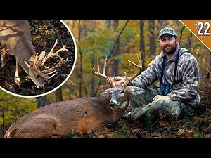 My Craziest Day of Bowhunting Ever!