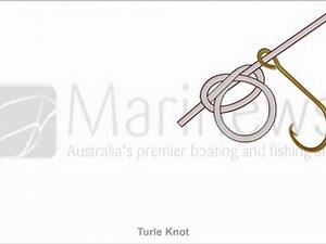 Turle Knot - Step By Step Guide on How to Tie Turle Knot