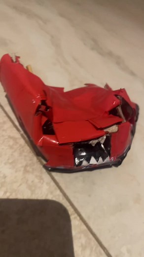 Dominator 1 Interceptor Hood Designs