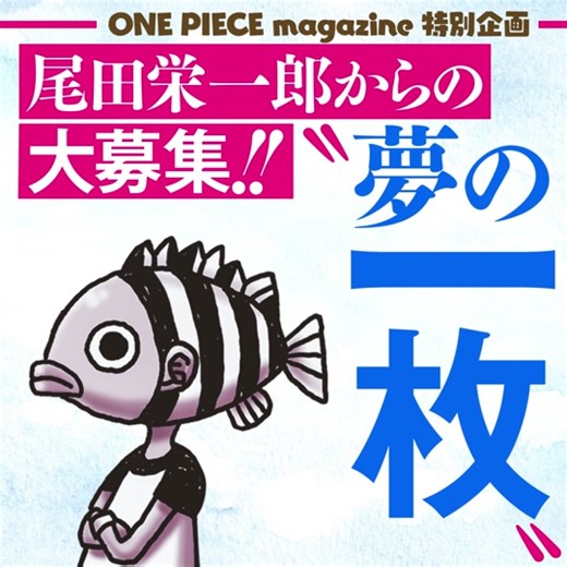 夢の一枚メイキング動画公開！尾田栄一郎が描く
