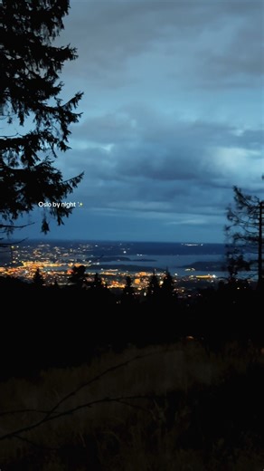 Silence in the forest, lights in the city ✨ #intonordicnature #oslobynight #NordicNature #CityLights #VisitOslo