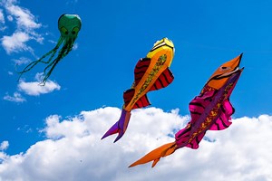 Arvada's Kite Festival Celebrates Rite Of Spring
