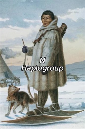 @dna.uncovered on Instagram: "🔥🧬 Haplogroup N: The Ancient Father Line of Northern Eurasia 🧬🔥 Haplogroup N is one of the major Y-DNA lineages of northern Eurasia, with deep roots stretching back to Siberia during the Ice Age ❄️🌍 From there, men carrying Haplogroup N spread westward across the taiga and tundra zones, eventually becoming a key paternal lineage among many Uralic-speaking and Northern Eurasian peoples ⛺🌲 Today, Haplogroup N reaches its highest frequencies among Finns, Sami, Es