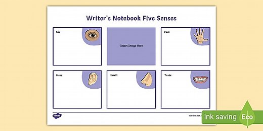 Writer's Notebook Five Senses Worksheet