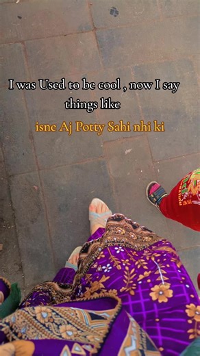 Funny Cats Reacting to Potty Training Mishaps