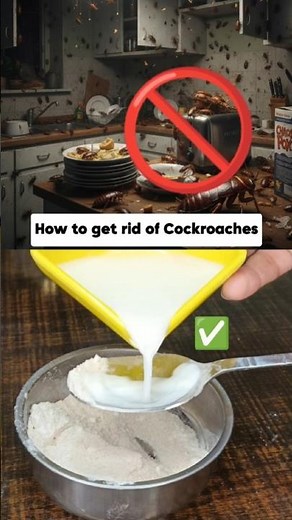 How to get rid of kitchen Cockroaches 🪳❌ Home Hack That WORKS!