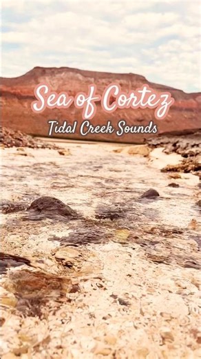 Tidal Creek Sounds | Sea of Cortez