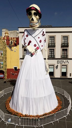 La catrina monumental en el centro de Xalapa 🧡😊 #xalapaveracruz #DiaDeMuertos | Ruta tlacuache