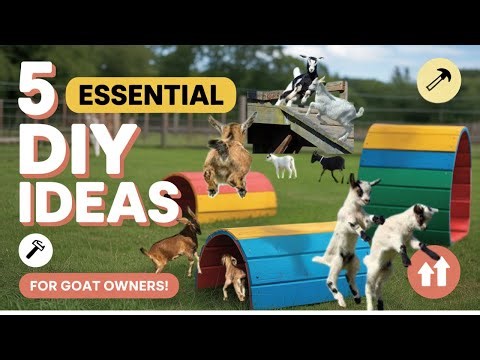 5 Essential DIY Playground Equipment Ideas For Goat Owners
