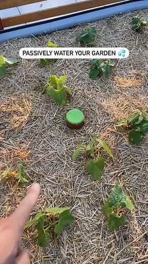 88K views · 863 reactions | easy watering for the garden #gardening | Garden Time Tip | Facebook
