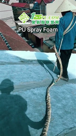 Master the Art of Polyurethane Spray Foam! Ultimate Thermal Insulation & PU Hard Foam Training