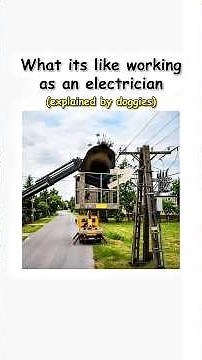 What It's Like Working as an Electrician ⚡🐕 (Explained by doggie)