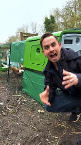 Getting chickens this spring? 🐔 Set up their new home in a breeze with the Eglu Cube Chicken Coop. Shop now - https://www.omlet.co.uk/shop/chicken_keeping/eglu-cube-large-chicken-coops-and-runs-uk/ | Omlet - Remarkable Pet Products