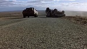 Mad max 2 1981