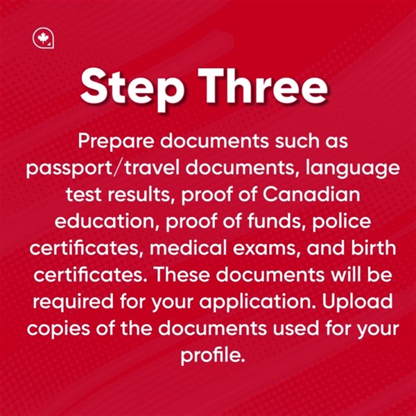 29 reactions | The Federal Department of Immigration, Refugees and...