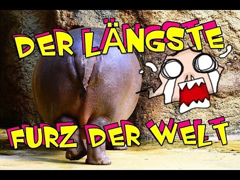 the longest fart ever der längste furz der welt fun furzen im zoo