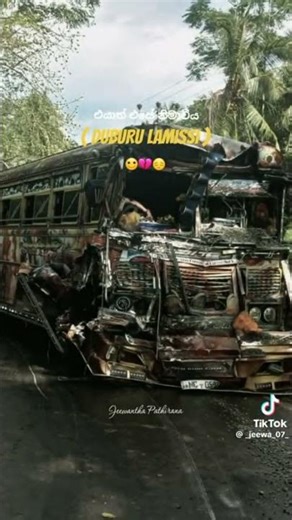 Duburu lamissi🥺💔