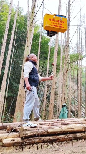 SKYLINE Logging: How Remote CARRIAGES Move Massive LOGS 🚠