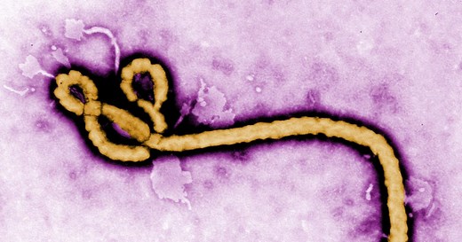 Timeline: How Ebola Made Its Way to the U.S.