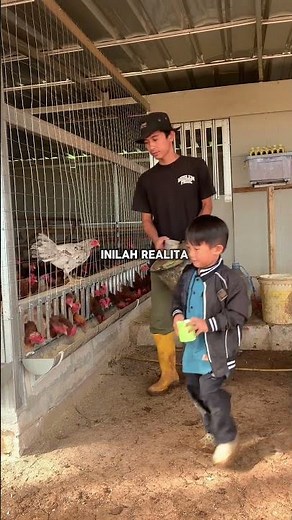 Responsibility behind raising livestock 🐓🧑🏼‍🌾 #youngbreeder #chickenbreeder #egg-laying chicken #...