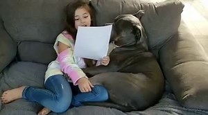 730K views · 2.5K shares | Scar had to write a letter to "someone" as an assignment for school this week... she sat on her own and came back to me like 10 minutes later with this little love note... my heart!! I had to have her read it to him and I'm pretty sure he loves it too 珞珞 #bestbuddies #pitbullsarelove #agirlandherdog #ScarleysBowski | Scarley's World | Facebook