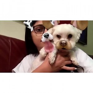 Like mommy like son 🐶🐶 | Creative Comics