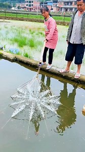 112K views · 692 reactions | Net fishing techniques  | Fishing Camp | Facebook