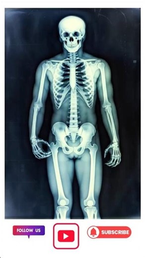 Dancing Skeleton X-Ray | Animated Bone Moves