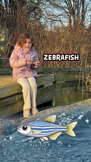 Neva Learns Z Animals! 🦓🐟🐮