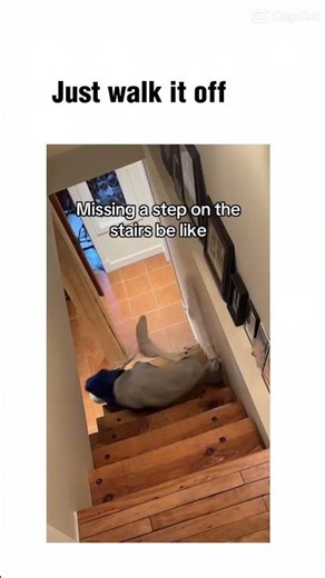 POV: You miss a step while walking downstairs