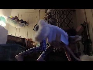 Quadrobics tutorial for starters!sneak,walk,trot,sprint,run,jump and buck!