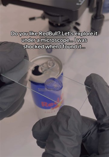 Do you like RedBull? Let’s explore it under a microscope… I was shocked when I found it… #microscope #science #creatorsearchinsights #redbull #TikTokCreatorSearchInsightsIncentive