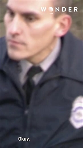 31K views · 415 reactions | A surveyor's discovery of a body in a wooded area near Washington, D.C., has triggered a homicide investigation. The Fairfax County Police Department is now on the case, working to uncover the truth. #Homicide #FairfaxCounty #Crime #Investigation #Virginia | The Wonder Channel | Facebook