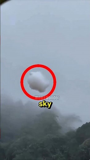 What Happens If You Touch a Cloud on the Ground? (The Truth Revealed)