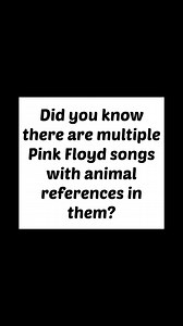 Did you there are multiple Pink Floyd songs with animal references in them? #PinkFloyd #Animals #fyp #TheDogsOfWar | Pink Floyd