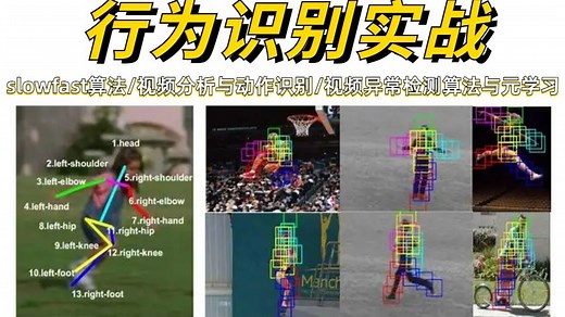 【行为识别实战】不愧是计算机博士！一遍教会你slowfast算法/视频分析与动作识别/视频异常检测算法与元学习三大项目实战！