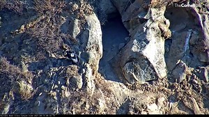 9.8K views · 554 reactions | Watch the California Condor chick (#75)...