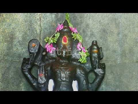 the Naga in mythology and folklore #naga #facts #animals