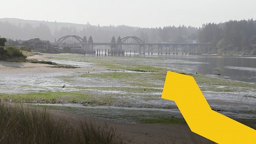 10K views · 92 reactions | Introducing Here Is Oregon, a sister site...