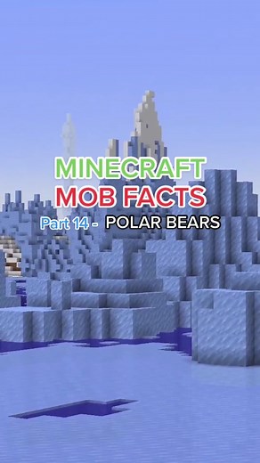 JellyBench on TikTok